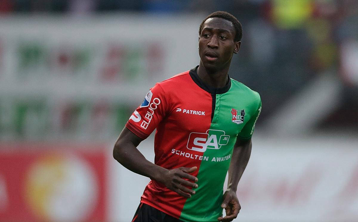 灰熊队的深 灰熊队的深